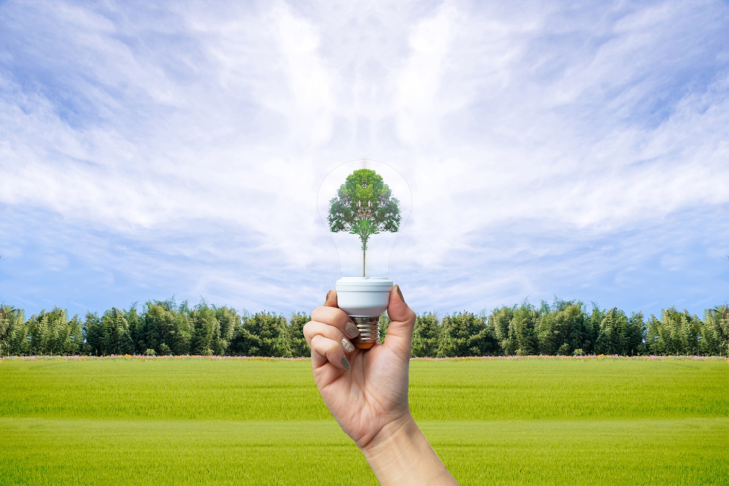 recyclable environment human hands holding big plant tree in lig